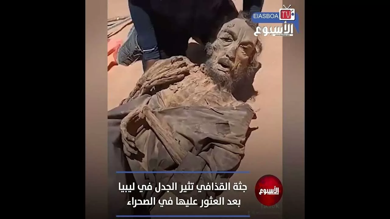 افلام عربي