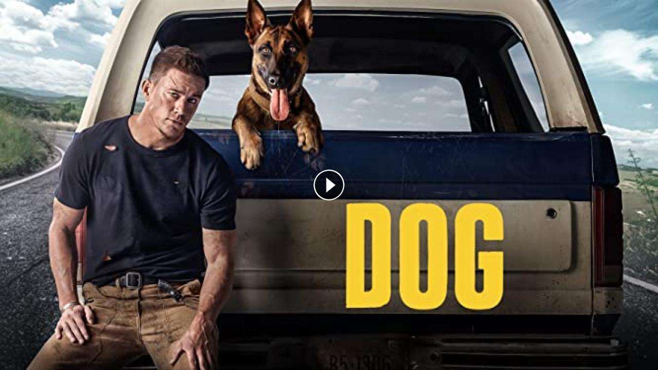 فيلم Dog 2022 مترجم كامل بجودة HD